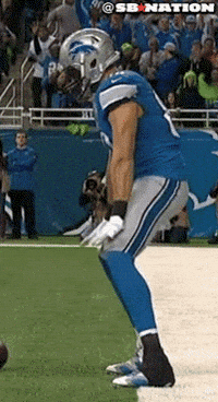 detroit lions nfl GIF