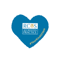 Heart Selfie Sticker by theRCVS