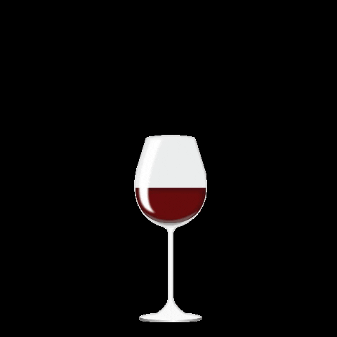 Red Wine GIF by Drinking Buddies Drink Makers