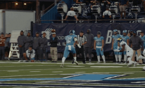 Football Catch GIF by Delaware Blue Hens