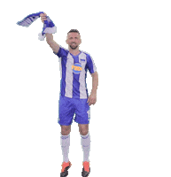 Celebration Berlin Sticker by Hertha BSC