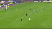 GIF by nss sports