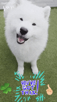 Luck Yes GIF