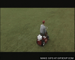grass GIF