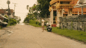 The White Lotus GIF by HBO Max