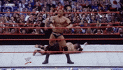 wrestlemania xxiv wrestling GIF by WWE