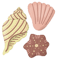 Beach Sea Sticker