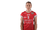 Sport Volleyball Sticker by LP Viesti