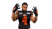 British Columbia Football Sticker by BC Lions
