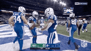 Indianapolis Colts Football GIF by NFL