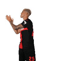 Bayer 04 Applause Sticker by Bayer 04 Leverkusen