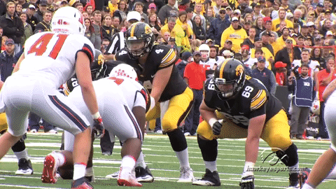 hawks GIF by University of Iowa Hawkeyes Athletics
