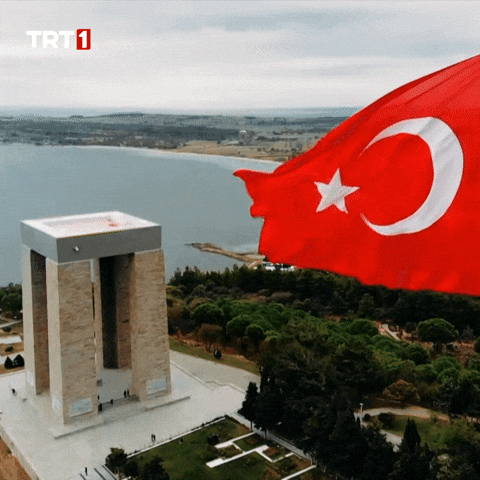 Turkey Turkish GIF by TRT