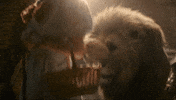 Wizard Of Oz Lion GIF by Wicked