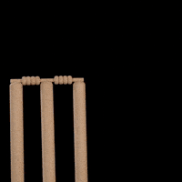 Cricket Wireless Internet GIF by RedPocket