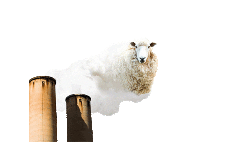42-BELOW giphyupload environment vodka sheep Sticker