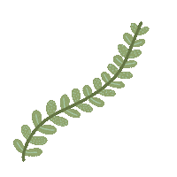 Leaves Sticker