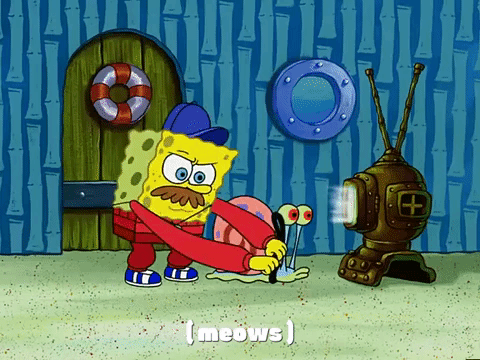 season 3 the great snail race GIF by SpongeBob SquarePants
