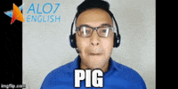 pig GIF by ALO7.com