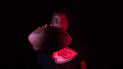 Kansas City Chiefs GIF by NFL