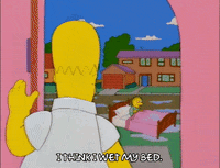 homer simpson GIF