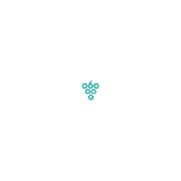 sixtyvines logo wine teal winery Sticker