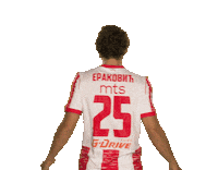 Red Star Serbia Sticker by FK Crvena zvezda