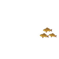 ADMNutricaoAnimal admnutricaoanimal nutricaoanimal admnutri admnutricao Sticker