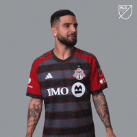 Toronto Fc Sport GIF by Major League Soccer
