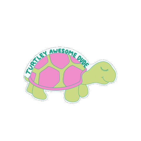 Turtle Dude Sticker