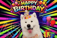 Congrats Bday GIF