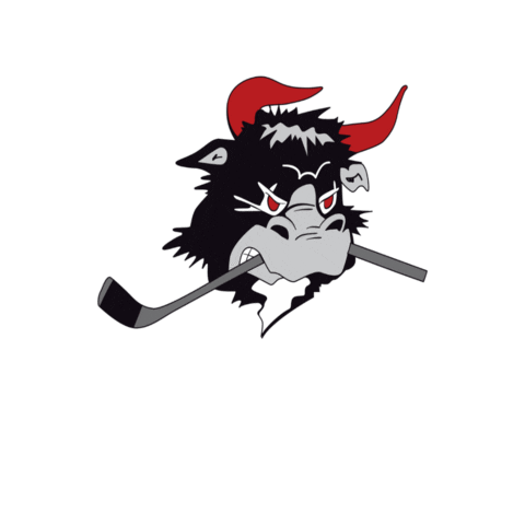 rodovremightybulls giphygifmaker rødovre mightybulls Sticker