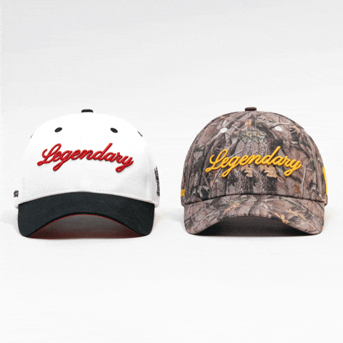 Head Hat GIF by VeeFriends