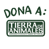 Dogs Vegan Sticker by Tierra de Animales