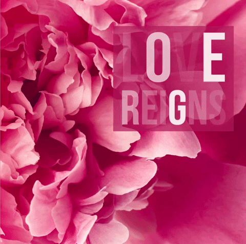 Love Roses Jesus Victoriabea4 Happy Thinkingofyou Justforyou GIF