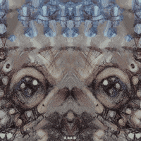 Pug Turning GIF by Luis Ricardo