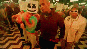 chris brown GIF by Marshmello