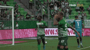 Happy Football GIF by Ferencvárosi Torna Club