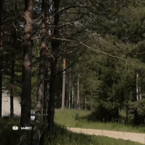 Drifting GIF by FIA World Rally Championship
