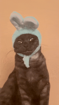 Meevin GIF