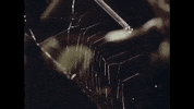 Youtube Film GIF