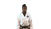France Hello Sticker by Paris Saint-Germain Judo
