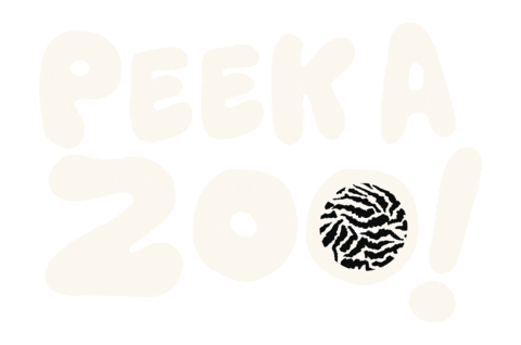 hello2millie giphyupload peekazoo Sticker