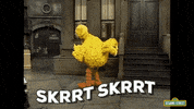 big bird skrrt skrrt GIF by Tiffany
