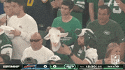 Regular Season Football GIF by NFL