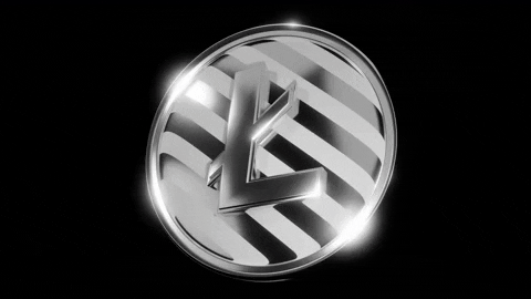 AndrewJumpen giphyupload classic silver litecoin GIF