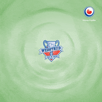 fries frysk GIF by Omrop Fryslân