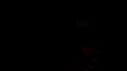 Major League Baseball Sport GIF by Baltimore Orioles