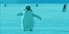 pinguin GIF