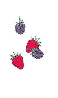 Summer Fruit Sticker by DilleKamille